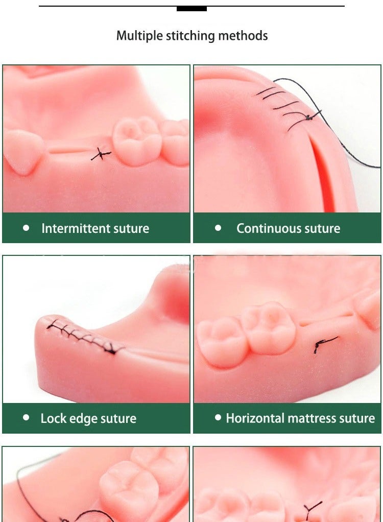 general Medical Students Practice Oral suturing Module Teaching Training Tool Kit - Image 3