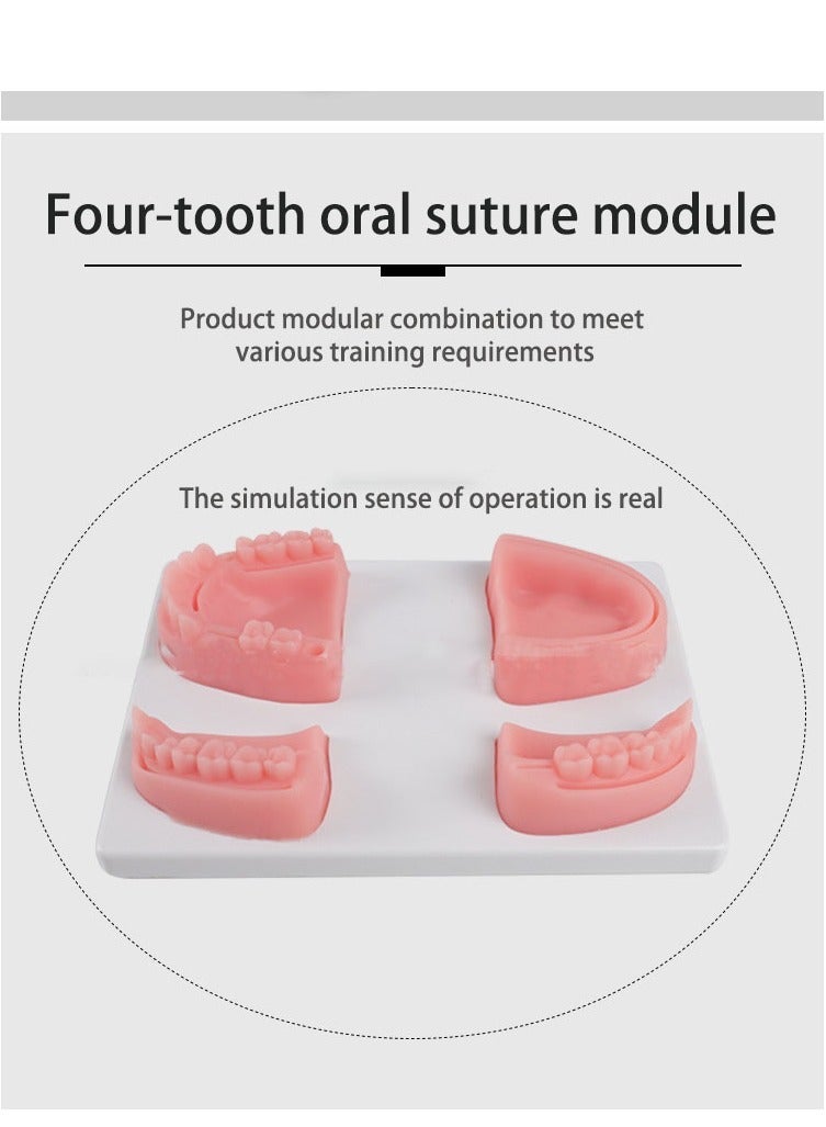 general Medical Students Practice Oral suturing Module Teaching Training Tool Kit - Image 4