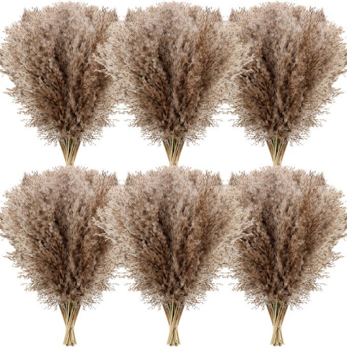 DRIED PAMPAS GRASS DECOR 17 INCH BULK NATURAL SMALL POMPOUS WILD FLUFFY PAMPAS FLORAL BOHO DECOR FLOWERS FOR WEDDING PARTY FARMHOUSE HOME BATHROOM OFFICE KITCHEN100 PCSBROWN