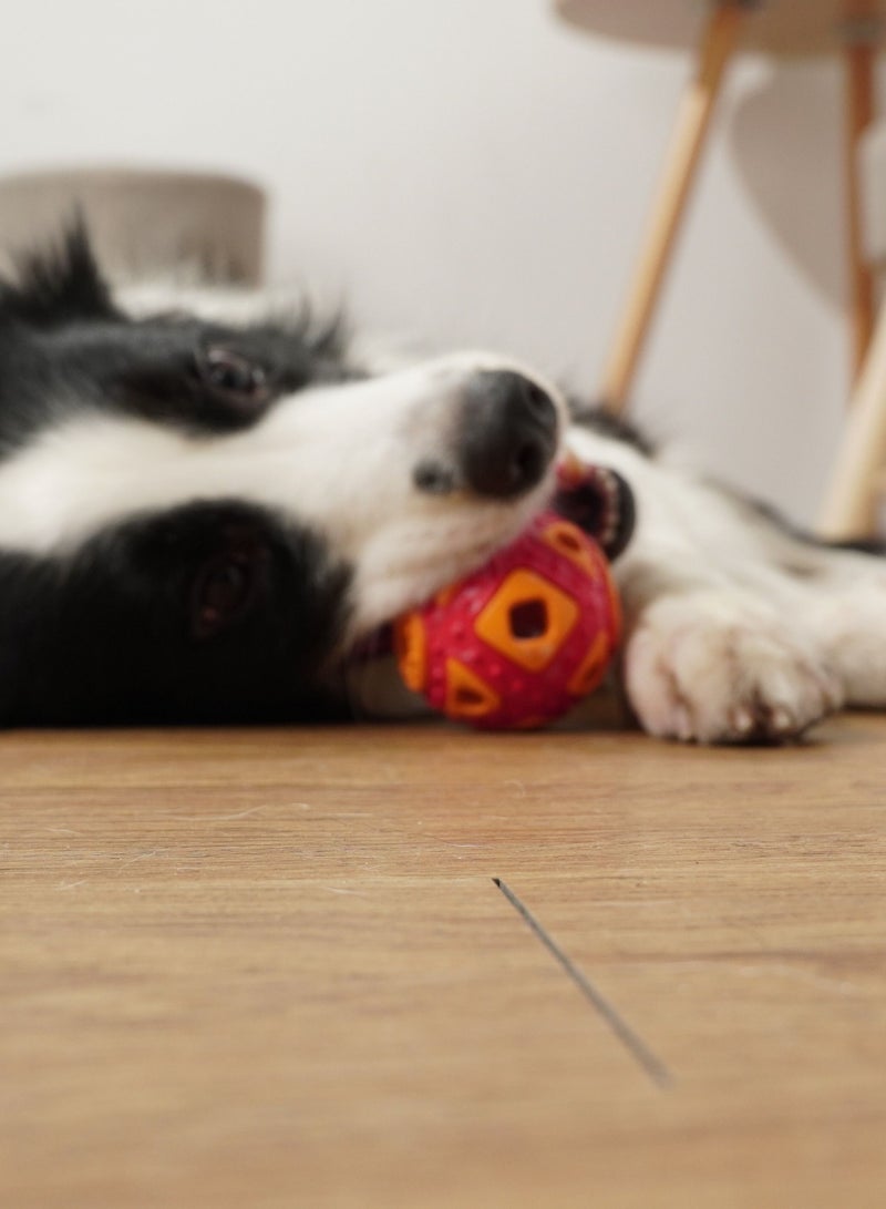 GULFLINK Non Toxic Natural Rubber Toy For Dogs Orange - Image 3