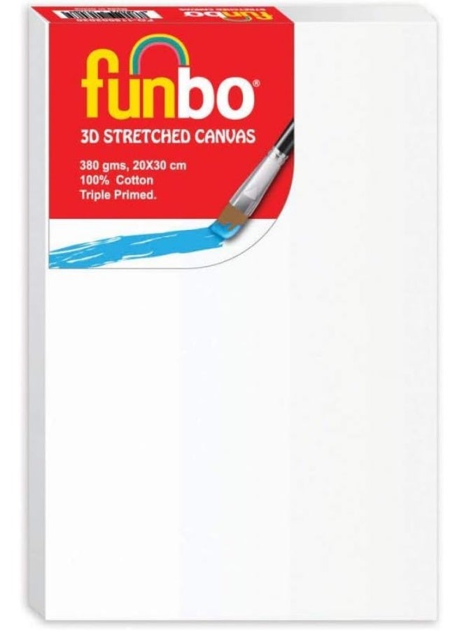 FUNBO STRETCHED 3D CANVAS - 20CM X 30CM (380GSM) - ACID-FREE & TRIPLE PRIMED