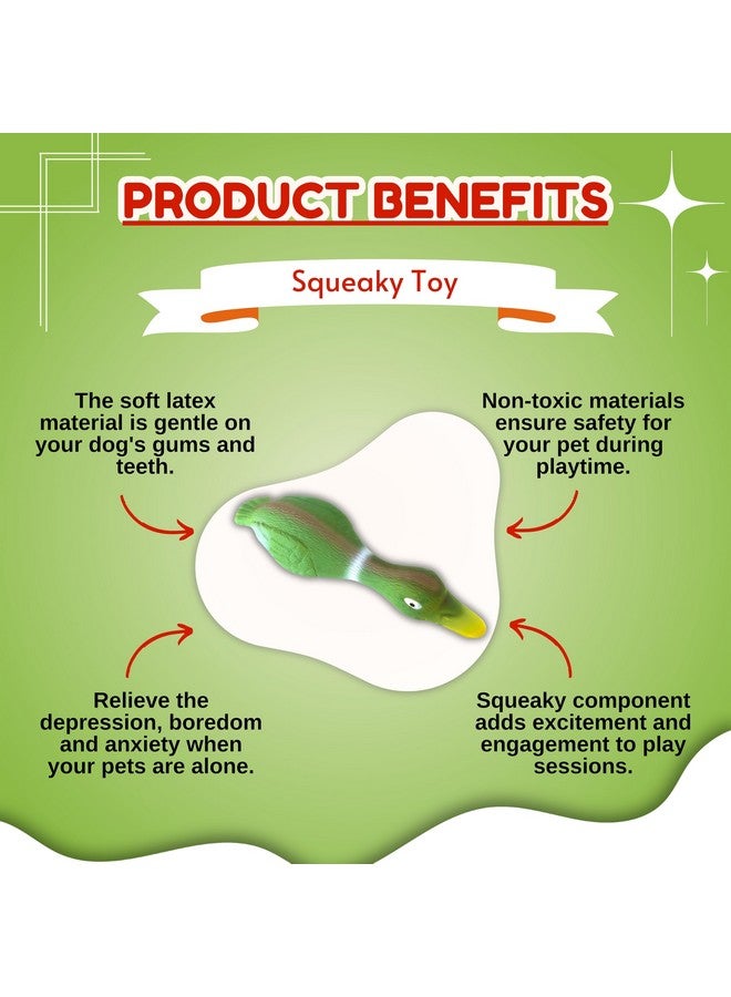 Dog Squeaky Chew Latex Rubber Toy - (Green Mallard Duck) | For Small Dogs & Puppies | Durable, Soft, Animal Design, Fetch & Chew Safe Play Toy | Reduce Separation Anxiety (Size: 30.5Cm) - Image 5