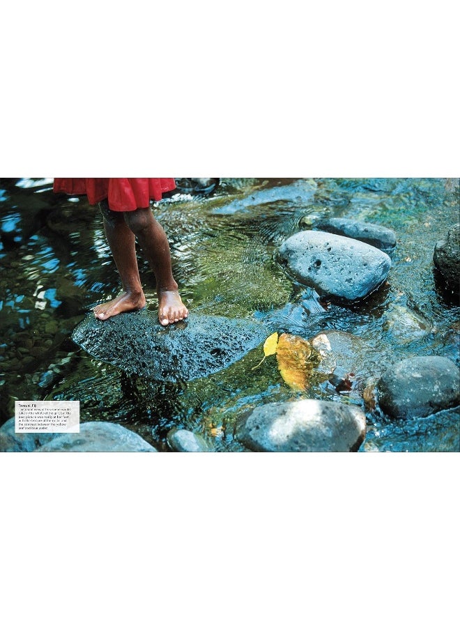 Photography: A Visual Companion
