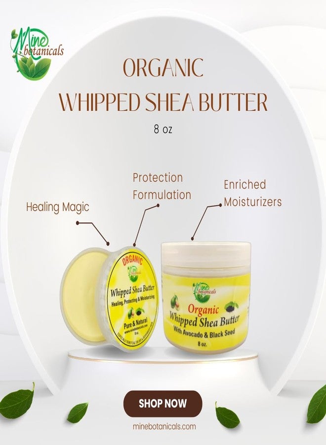 ماين بوتانيكالز زبدة الشيا العضوية المخفوقة من ماين بوتانيكالز مع الأفوكادو وحبة البركة - Image 2