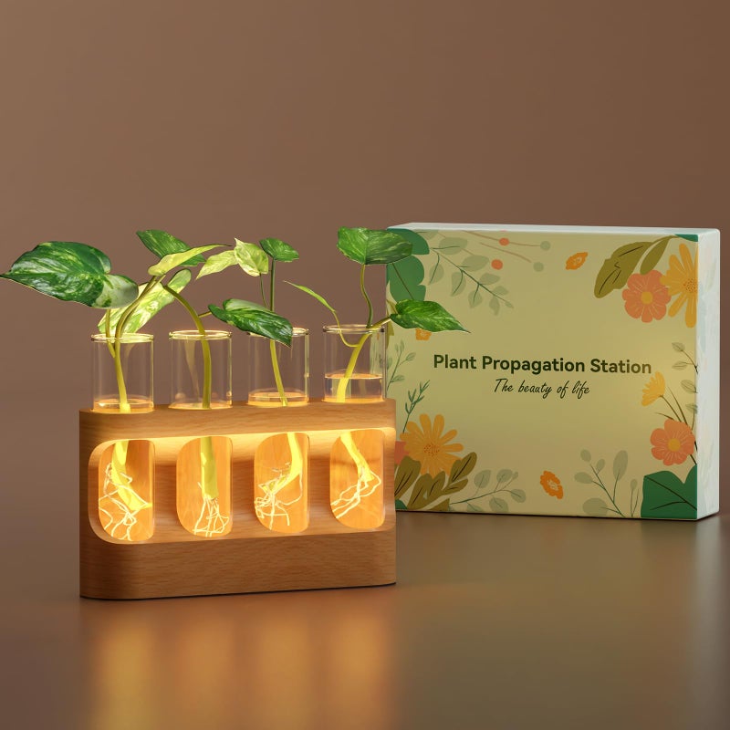 Lightalent Plant Propagation Station with Wooden Stand, Gardening Gifts for Mom Women Plant Lovers, 9-Level Dimmable LED Light 4 Glass Test Tubes Vases for Hydroponic Plants - Desktop Terrarium for Desk Decor - Image 1
