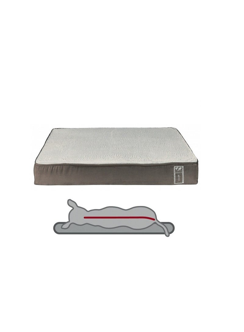 تريكسي وسادة Trixie الحيوية الأفضل بين جميع السلالات للكلاب - Image 1