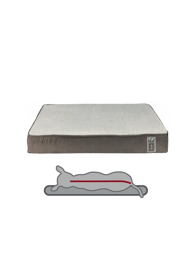 تريكسي وسادة Trixie الحيوية الأفضل بين جميع السلالات للكلاب - Image 2