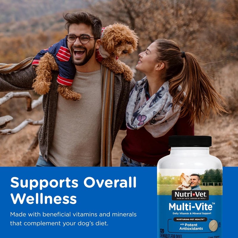 nutri vet Nutri-Vet Multi-Vite Chewables for Adult Dogs - Daily Vitamin and Mineral Support - 120 Count - Image 2