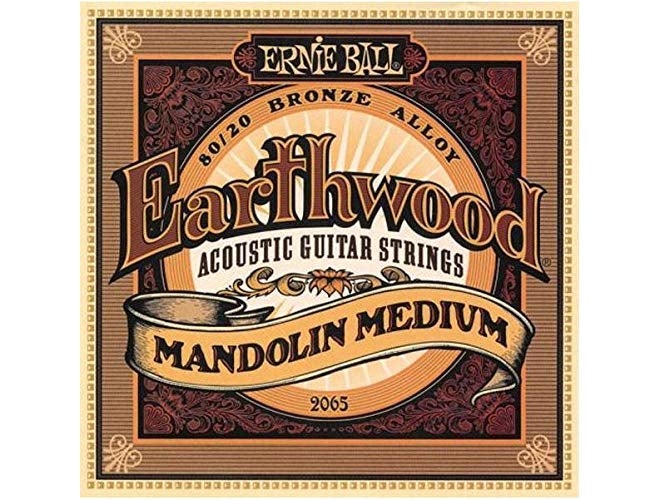 2065 Earthwood 80/20 Bronze Mandolin Medium Strings