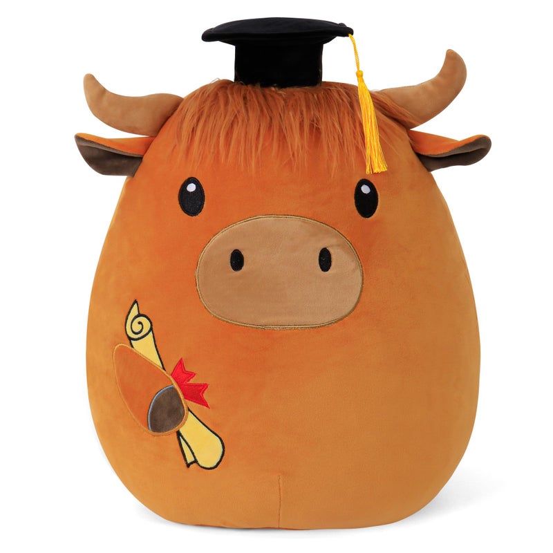 OurHonor Class of 2026 18in Graduation Stuffed Animal with Cap Fringe Diploma Grad Gifts for Preschool Kindergarten Elementary High SchoolHighland Cow - Image 3