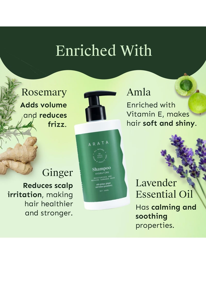 أراتا شامبو أراتا الطبيعي المرطب للشعر (300 مل) بالجنكة والزنجبيل والكشمش الهندي يرطب ويصلح الشعر التالف شامبو خالٍ من البارابين والكبريتات للنساء والرجال - Image 3