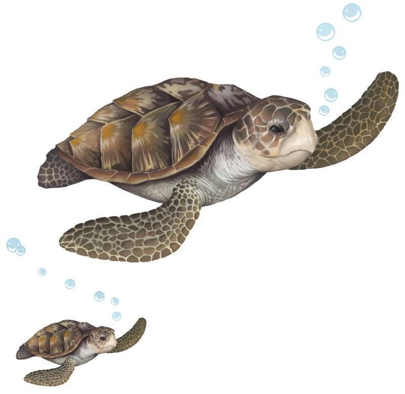 Create-A-Mural Sea Turtle Wall Decal ~Ocean Undersea Animal Tortoise Wall Sticker for Kids Room Decor, Boys Girls Toddler Baby Nursery Bedroom, Playroom, Bathroom, Vinyl Art Gift - Image 1