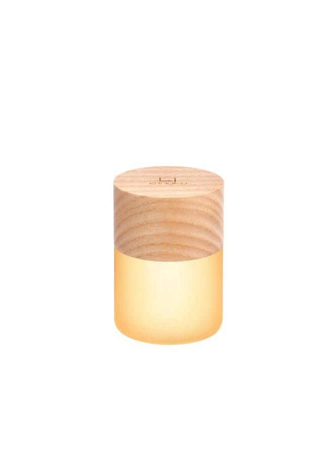 gingko 7 Colour Changing RGB Large Lemelia Night Lights, Long Life Battery USB-C Charging, 3 Light Modes, FSC Certified, Touch Button Control (White Ash) - Image 1