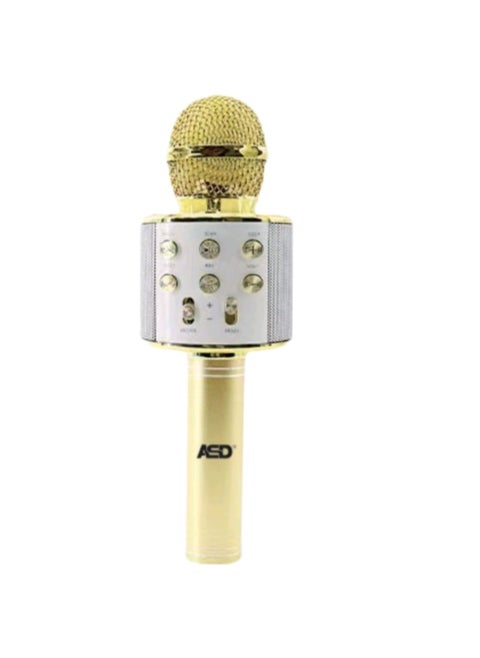Karaoke Wireless Microphone with Speaker ASD-178