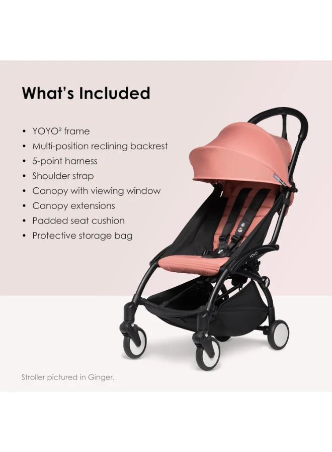 BABYZEN Yoyo Stroller Includes Harness, Backrest, Hood Extensions, Shoulder Strap, Storage Bag, Seat Cushion And Matching Canopy (Black Frame With Aqua 6+ Colour Pack)