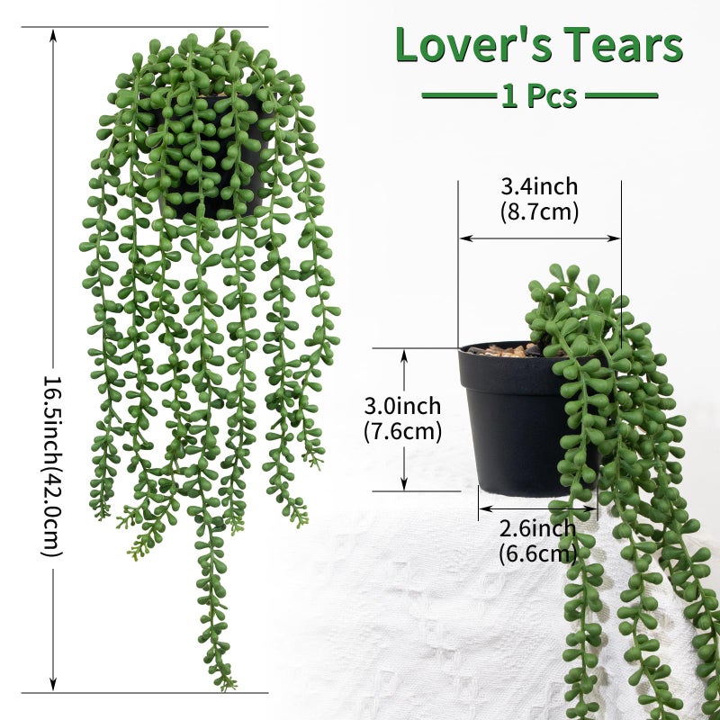 LOYWREE 2 Pack Lifelike Artificial String of Pearls Plant - Faux Hanging Succulent with Black Pot, Realistic Trailing Fake Plant for Indoor Outdoor Shelf Desk Window Sill Home Garden Office Decor - Image 2