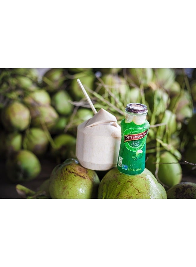 Taste Nirvana Real Coconut Water, Premium Coconut Water, 9.5 Ounce Glass Bottles (Pack of 12) - Image 4