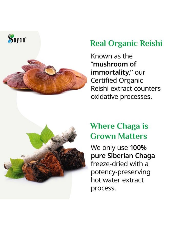 sayan Siberian Chaga and Organic Reishi Mushroom Extract Supplement – 90 Capsules/440mg Each - Wild-Harvested, Antioxidant Blend for Immune System Support + Natural Energy Boost, Non-GMO, Gluten Free - Image 4