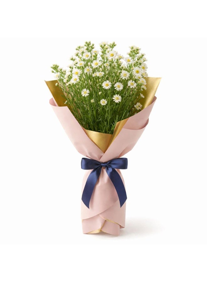 Matricaria, Spray - 6 Stems, Netherlands