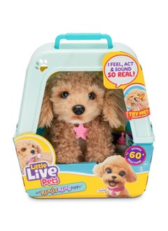 My Really Real Puppy - Curley