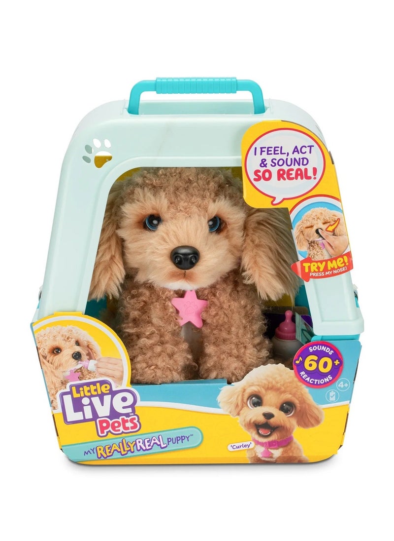 LITTLE LIVE PETS - My Really Real Puppy - Curley - Image 1