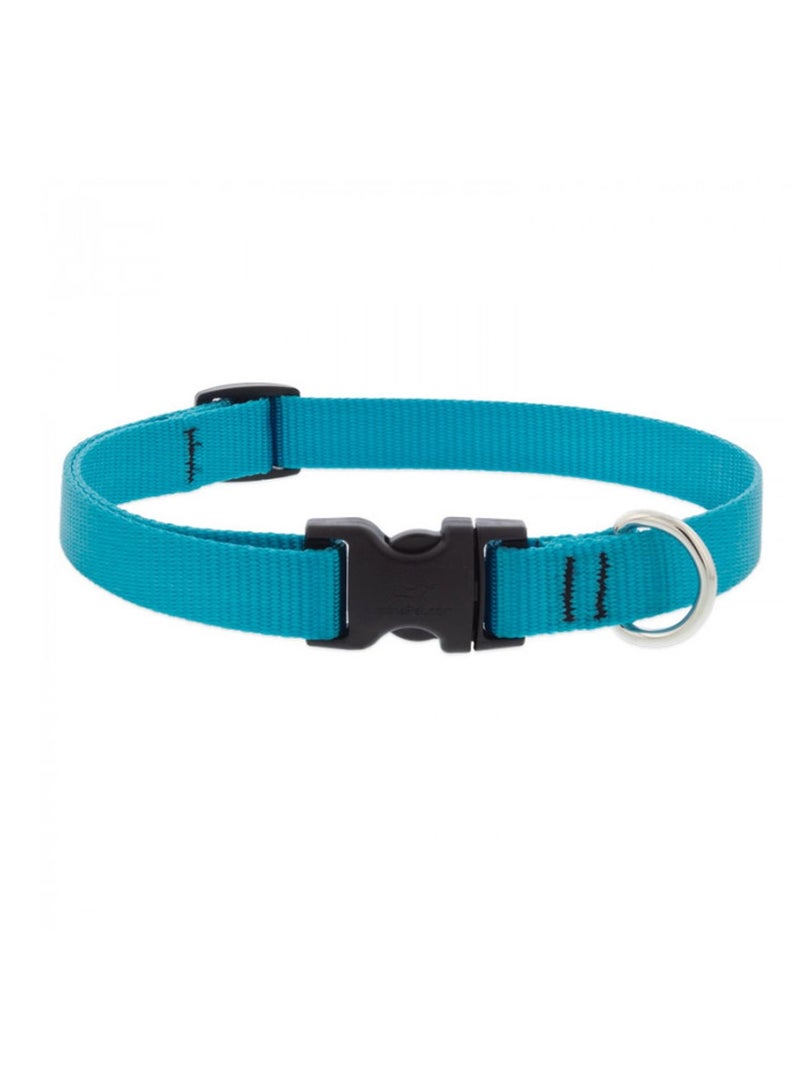 Lupine Basics Adjustable Collar Aqua 3/4 For Medium Dogs Blue - Image 1