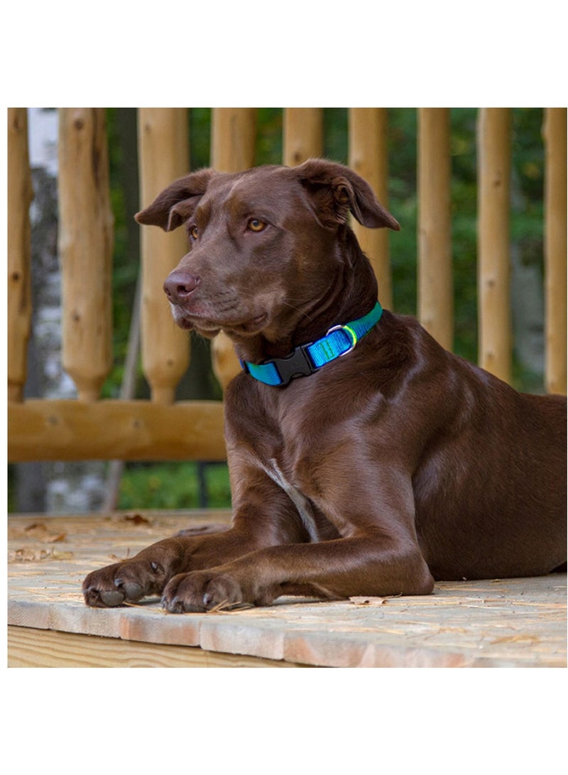 Lupine Basics Adjustable Collar Aqua 3/4 For Medium Dogs Blue - Image 2
