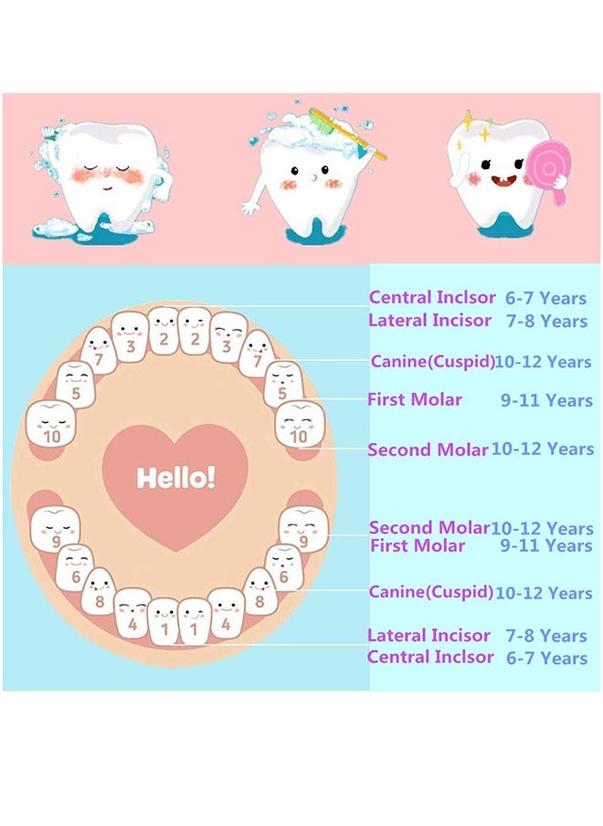 MissTiara - Tooth Fairy Box for Girls, Tooth Boxes for Lost Teeth for Kids, Newborn Baby Birthday And Shower Gift - Image 1
