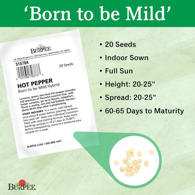 Burpee Born to be Mild Hot Pepper Seeds 20 seeds - Image 3