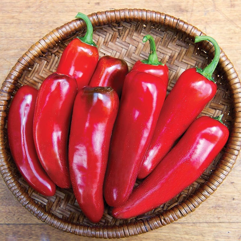 Burpee Born to be Mild Hot Pepper Seeds 20 seeds - Image 1