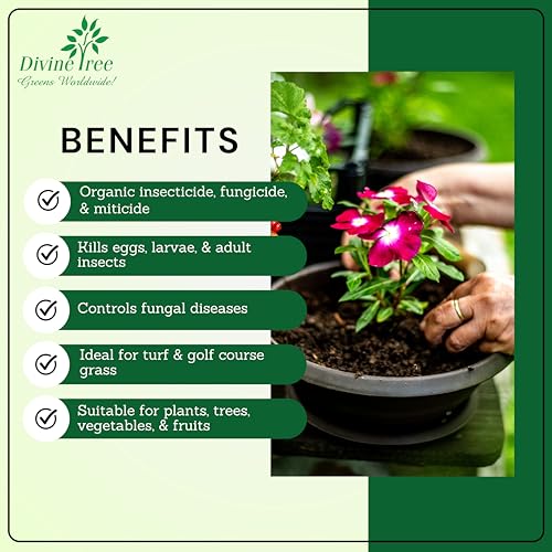 DIVINE TREE Green Light Organic Neem Cake Powder for Plants 900g | Pure Cold-Pressed Neem Khali Fertilizer & Natural Pest Repellent | Neem Powder for Indoor Outdoor Gardening & Soil Conditioning - Image 3