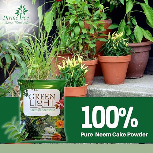 DIVINE TREE Green Light Organic Neem Cake Powder for Plants 900g | Pure Cold-Pressed Neem Khali Fertilizer & Natural Pest Repellent | Neem Powder for Indoor Outdoor Gardening & Soil Conditioning - Image 4