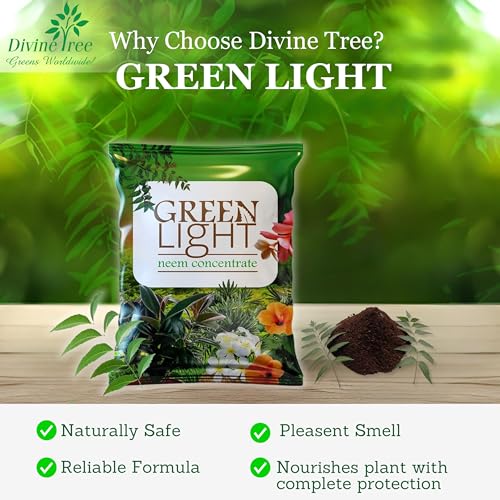 DIVINE TREE Green Light Organic Neem Cake Powder for Plants 900g | Pure Cold-Pressed Neem Khali Fertilizer & Natural Pest Repellent | Neem Powder for Indoor Outdoor Gardening & Soil Conditioning - Image 5