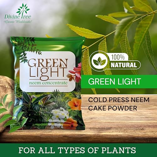DIVINE TREE Green Light Organic Neem Cake Powder for Plants 900g | Pure Cold-Pressed Neem Khali Fertilizer & Natural Pest Repellent | Neem Powder for Indoor Outdoor Gardening & Soil Conditioning - Image 2
