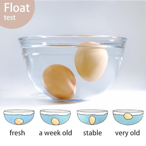 SCORYULE 300 PCS Fresh Farm Eggs Handling Instructions Cards, 2x3.5" Cards for Carton, Basket, Farm, Supermarket - Image 3