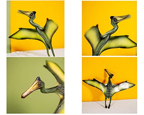 Gemini&Genius 3pcs Pterodactyl Action Figures Realistic Flying Dinosaur Pteranodon Dino Toys Pterosaur Model Toys Cake Toppers Set for Kids - Image 5