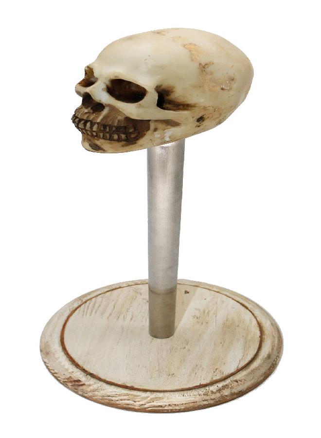 Owlgift Rustic White Wood Skull Stand Up Paper Towel Holder, Easy One-Handed Tear Kitchen Paper Towel Dispenser with Weighted Base for Standard Paper Towel Rolls,Rustic White - Image 1