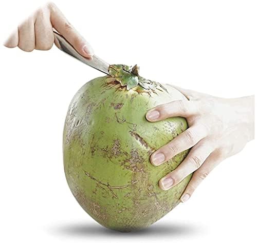 Homava Stainless Steel Coconut Opener Tool, Coconut Driller, Opener Machine, Coconut Opener Knife, Coconut Water Opener - (Pack- 2) - Image 4