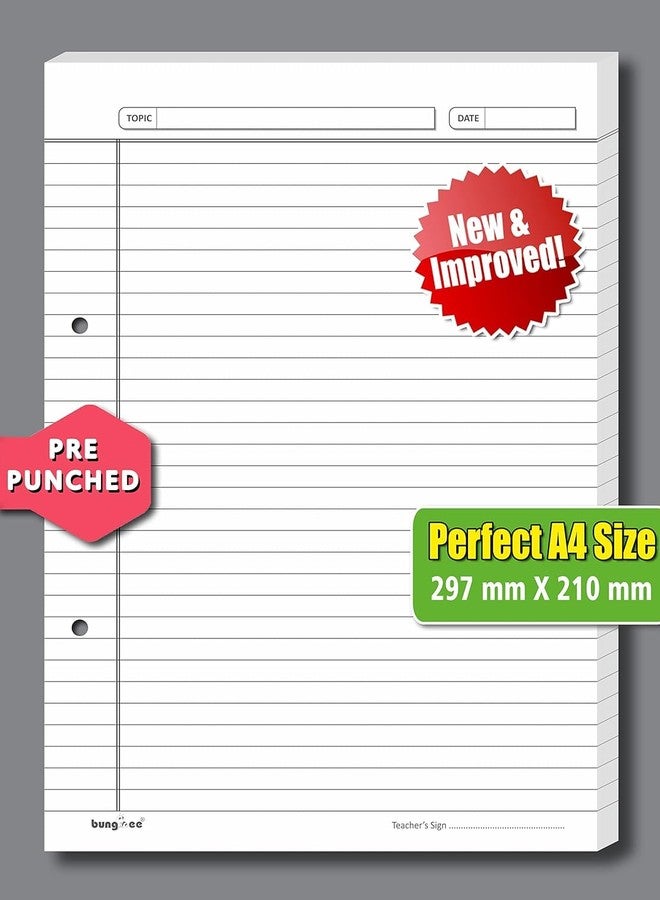 Bungbee Ruled Sheets A4 Size 90 GSM White Both Side Rule for Assignment, Project Work, Exam - 80 Sheets Loose Paper Bundle with Border, Punched, Grey Colour Rule and Margin - Acer Edition - Image 2