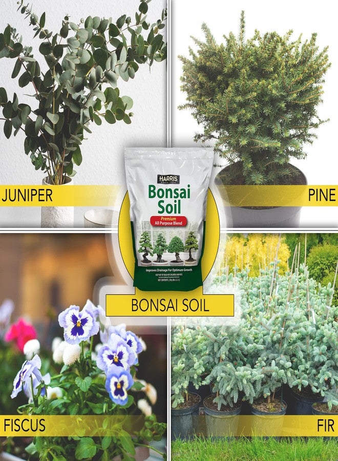 Harris Bonsai Soil, All Purpose Premium Blend for Outstanding Growth, 2qt - Image 3