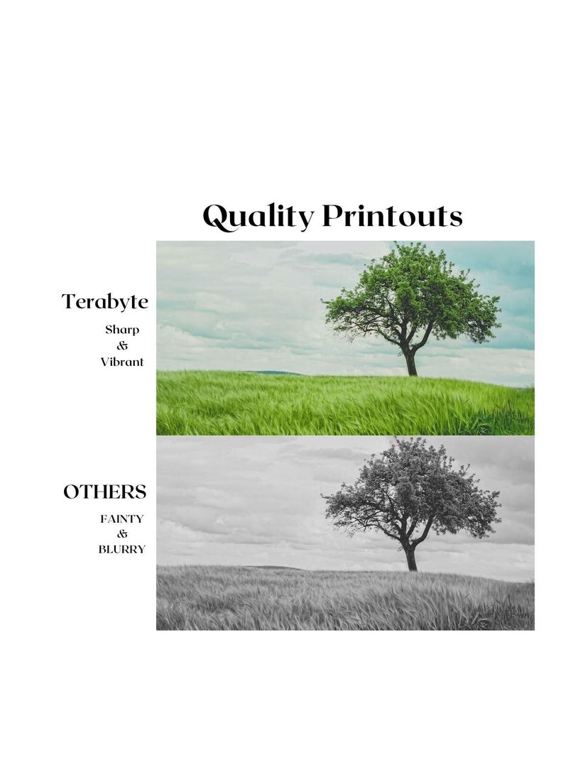 Terabyte TONER CARTRIDGE TN3487 BLACK - Image 4