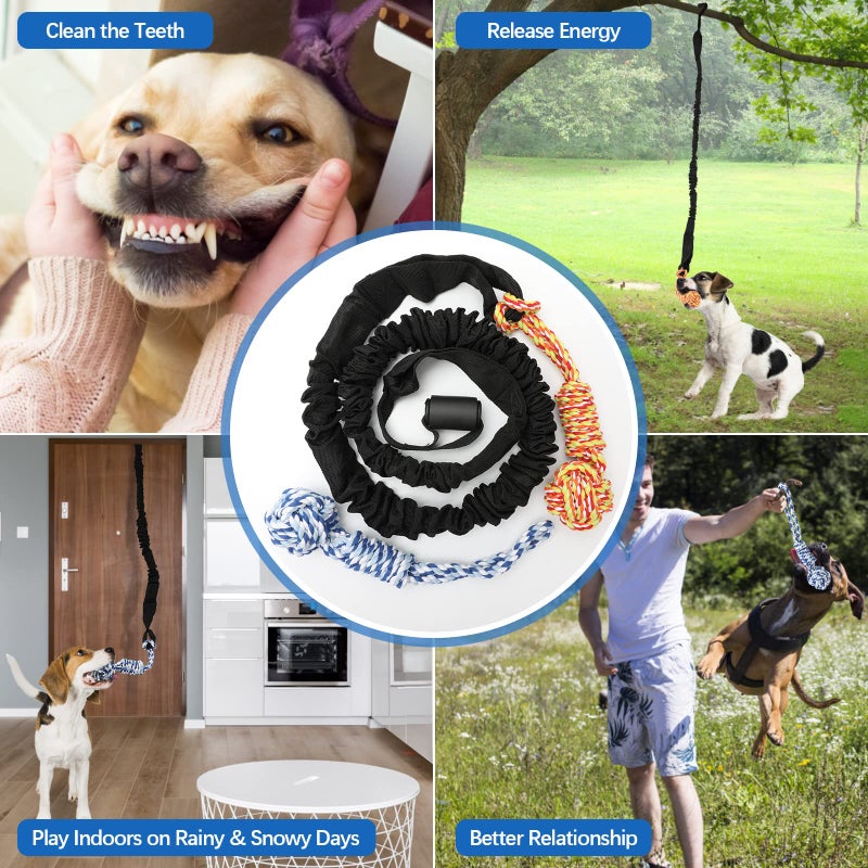 QINGFANGLI Spring Pole Dog Rope Outdoor Tug of War Toy for Pitbull Medium to Large Dogs Bungee Hanging Exercise Ropes Muscle Builder Interactive Toys (Dog Rope Toys) - Image 3