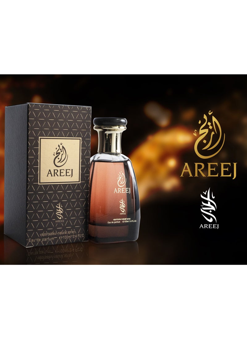 AREEJ the arabic aroma EDP 100ml - pzsku/Z2AEFA2D0295FFD2CF451Z/45/_/1651730442/17a94c55-d309-4d1f-a66c-7910b0aeeda3