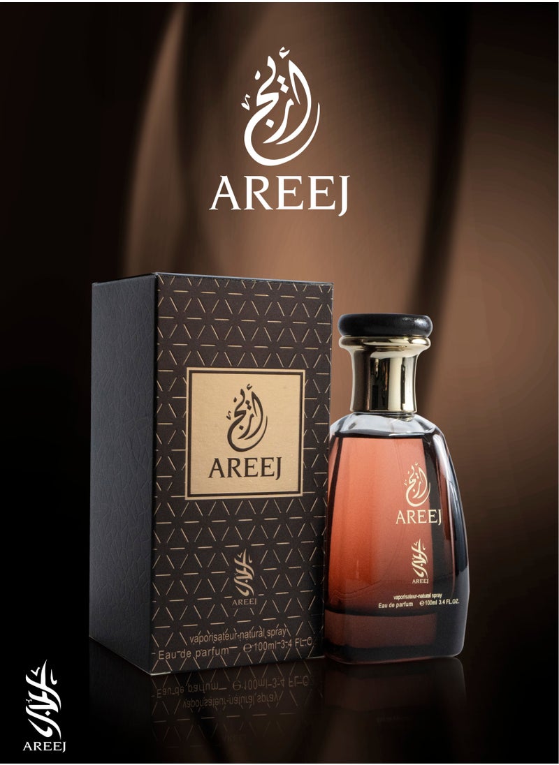 AREEJ the arabic aroma EDP 100ml - pzsku/Z2AEFA2D0295FFD2CF451Z/45/_/1651730442/edac5f30-d14f-4408-be98-441db58cb952