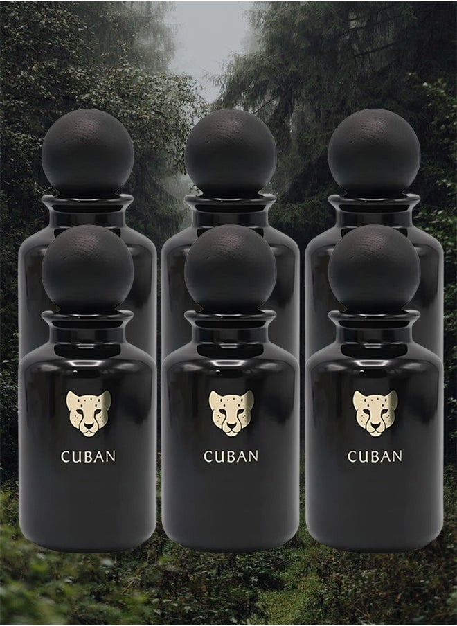 Surrati 6 Pieces Cuban Oud Perfume 100ml EDP  - Image 1