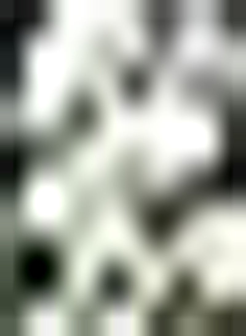 GGOOT 10pcs White Freesia Seeds Loved by Gardeners Elderly Children for Indoor Viewing Bring Sense of Accomplishment DIY Garden Craft Art Decoration Natural Growth - Image 1