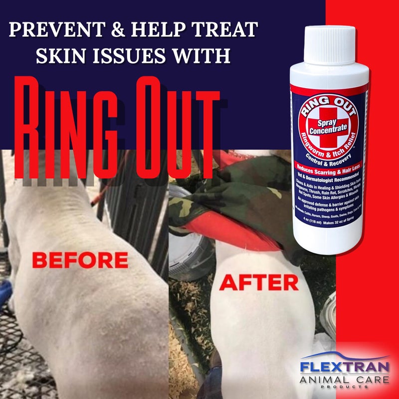 Ring Out - Control and Help Ringworm for Cats, Dogs, Sheep, Goats, Cattle, Horses, all Pets and Livestock makes 32 oz. of Spray - Image 2