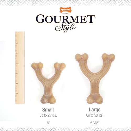 Nylabone Gourmet Style Wishbone Strong Chew Toy for Dogs, Chicken Flavor, Small - Up to 25 lbs, 1 Count - Image 4