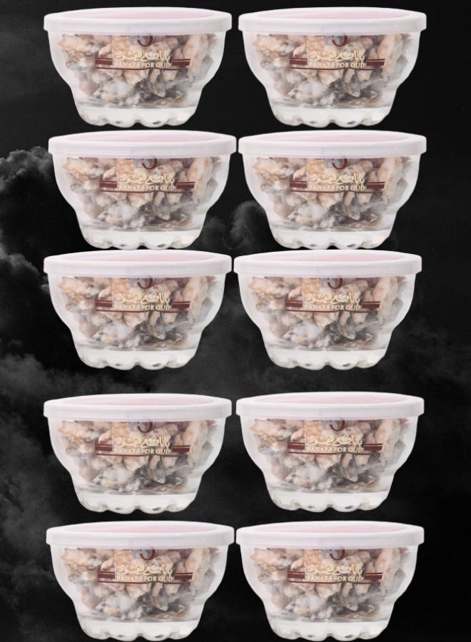 بانافع 10 قطع بخور همسة 40 جرام - Image 1