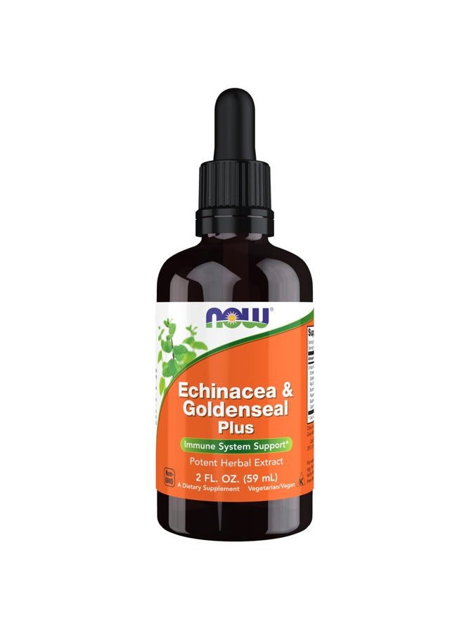now Supplements, Echinacea & Goldenseal Plus with Dropper, Immune System Support*, 2-Ounce - Image 1